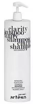 Artègo Easy Care T Clarity Šampūnas šampūnas nuo pleiskanų, 1000 ml