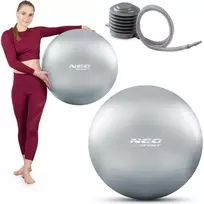 Mankštos kamuolys 65 cm NS-951 sidabrinis