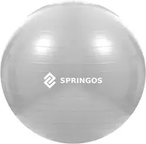 Mankštos kamuolys su pompa Springos FB0008 75cm