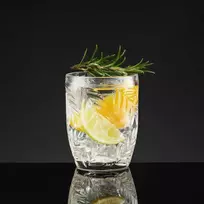 Delninis žemas stiklas 300 ml skaidrus AMBITION