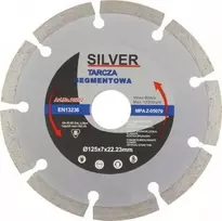 SILVER Sidabrinis Sidabrinis DEIMANTINIS DISKAS 230 SEGMENTINIS .