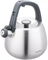 Virdulys, Nerūdijančio plieno virdulys su švilpuku, šlifuoto sidabro spalvos, talpa 2,5 l, Klausberg, kb-7773