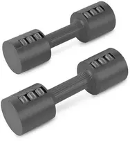 Svarmenų rinkinys Spokey, 2.5kg x 2 vnt.