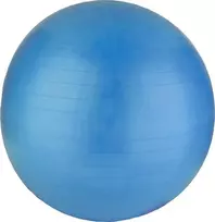 Gimnastikos kamuolys XQMAX 65 cm mėlynas