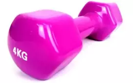 Provesport Aerobikos hantelis Prove 4kg (1vnt)