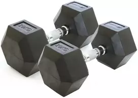 Provesport Hexagon šešiakampis hantelis 20kg (1vnt)