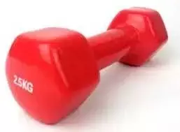 Provesport Aerobikos hantelis Prove 2,5kg (1vnt)