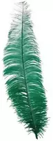 Fiesta Žalios stručio plunksnos 40 cm, 12 vnt.