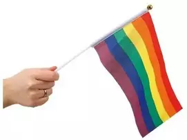 Hisabjoker Ab Vaivorykštės vėliavėlės, 6 vnt.
