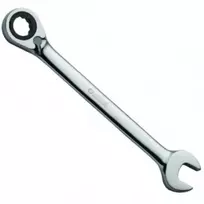 Kombinuotas raktas su terkšle Sata S46613; 21 mm