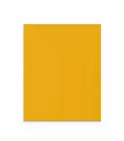 Lintex Nuotaikos siena iš stiklo pluošto 1000x1250 mm