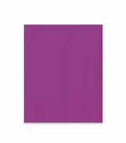 Lintex Nuotaikos siena iš stiklo pluošto 1000x1250 mm