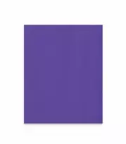 Lintex Nuotaikos siena iš stiklo pluošto 1000x1250 mm