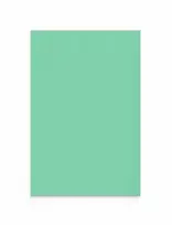 Lintex Nuotaikos siena iš stiklo pluošto 1000x1500 mm