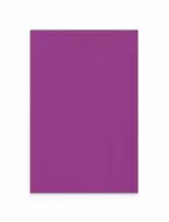 Lintex Nuotaikos siena iš stiklo pluošto 1000x1500 mm