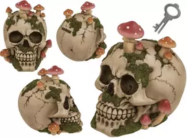 Kaukolės formos taupyklė "Mushroom"