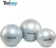 Pezzi Italija Gimnastikos Kamuolys Original Pezzi PRO Maxafe® 75 cm, Pilkas