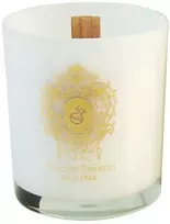 Tiziana Terenzi „Extreme Sense“ kvapioji žvakė 170 g