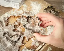 Sausainių formelės DINOZAURAI 6 vnt.