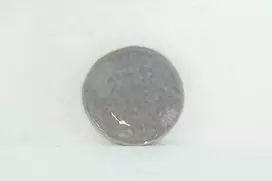 Domoletti LĖKŠTĖ DYKUMOS PILKA KRIAUKLĖS 21.3CM
