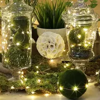 Springos Mikrolempų girlianda 10 LED, šilta balta