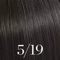 Plaukų dažai Wella Professionals Color Touch 60ml - 5/19