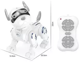 Išmamusis šuo robotas su RC