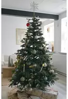 Det Gamle Apotek Dirbtinė Kalėdų eglutė su sutvirtinta viršūne, aukštis 180 cm, skersmuo 122 cm, žalia, vidaus naudojimui, pe/pvc