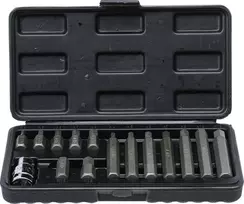 Grąžtas Bgs Technic Antgalių rinkinys Hex šešiakampiai | trumpas / ilgas | 10 mm (3/8") storio | 15 vnt. (5070)