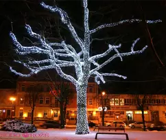 Polamp Profesionali mirksinti LED lempučių girlianda 10m (5+5) žaliu laidu, šiltai baltos spalvos