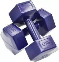 Dviturių hantelių rinkinys 2x6 kg ENERO FIT