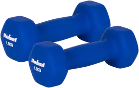 Hantelki Ketaus neopreno hanteliai HEX 2x1.5kg, REBEL ACTIVE