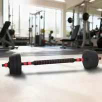 2-in-1 hantelių ir štangos rinkinys 20 kg Juoda ir raudona