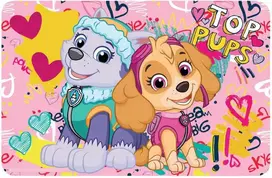 Paw Patrol kilimėlis 43x28 cm