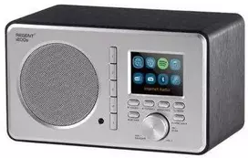 Radijas Ferguson FM/DAB+/internetinis radijas REGENT su SPOTIFY Connect i200s, pilkas