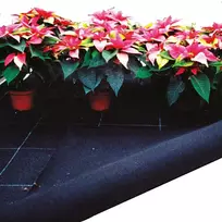 Kapiliarinio drėkinimo paklotas augalams Vivaplus W1.25m/300g/m2 absorbcijos 3 l/m2