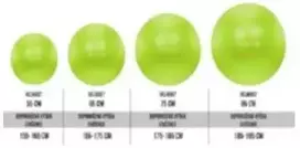 Mankštos kamuolys Lifefit Ø75cm