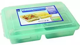 Dėžė su skyriais maistui laikyti Georplast 28x19.5x6cm plastikinė
