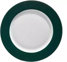 Aura Žalias porcelianinė pietų lėkštė 27 cm AMBITION