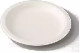 Spino Lėkštės iš cukranendrių pluošto D18cm/50vnt. baltos