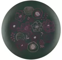 Maku serviravimo padėklas 41cm,žalias