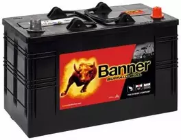 Banner 110Ah 800A Buffalo Bull akumuliatorius 12V 344x172x214x230
