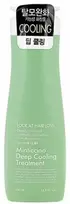 Daeng Gi Meo Ri Gaivinantis kondicionierius riebiems plaukams LOOK AT HAIR LOSS Minticcino Giliai vėsinantis kremas, 500 ml