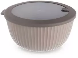 Dubuo su dangčiu 24,5 cm 4 l