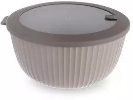 Dubuo su dangčiu 21 cm 2,5 l