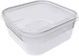 Plastikinė dėžutė maistui užšaldyti Plast Team 1.8l/19x19x8cm Helsinki