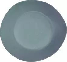 Pietų lėkštė AMBITION Organic, mėlynos sp., 30 cm