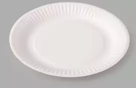 Kartoninės lėkštės Spino 12vnt./D18cm baltos