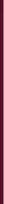 Maybelline Skysti lūpų dažai „Superstay Vinyl Ink“ 4,2 ml