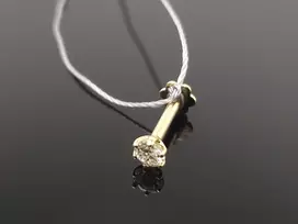 Estrella Geltono aukso auskaras su briliantu